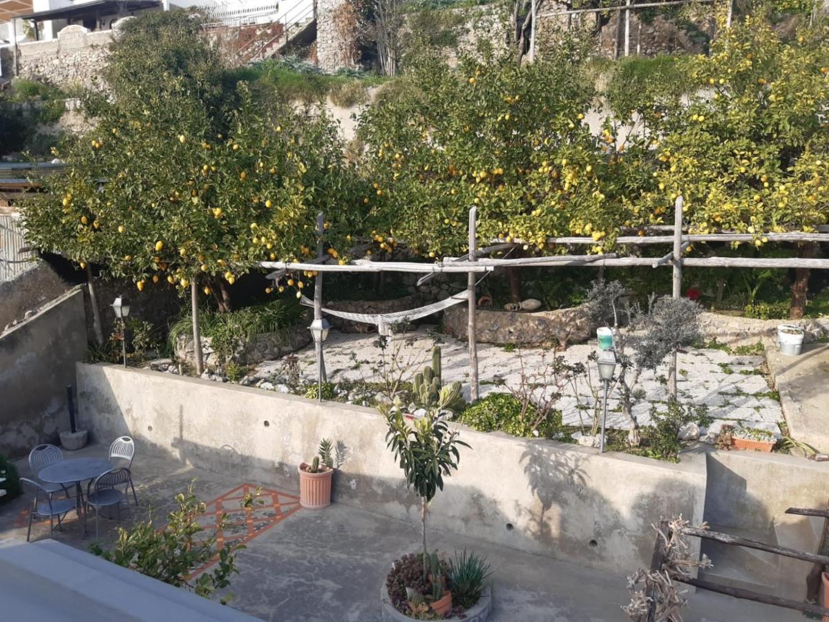 Giardino Eden Villa برايانو المظهر الخارجي الصورة